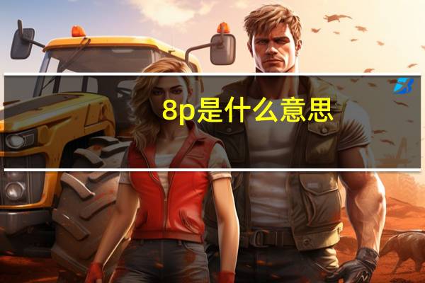 8p是什么意思