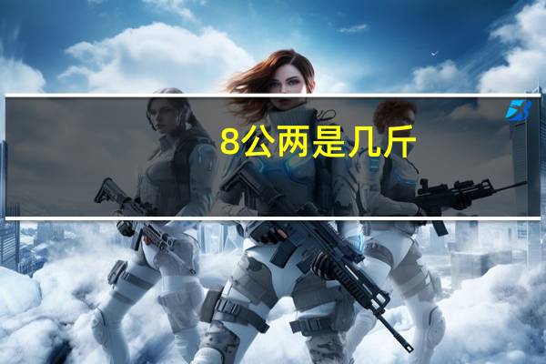 8公两是几斤