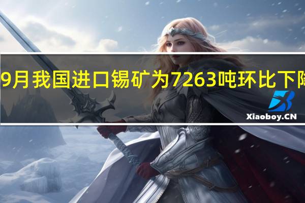 9月我国进口锡矿为7263吨 环比下降73%