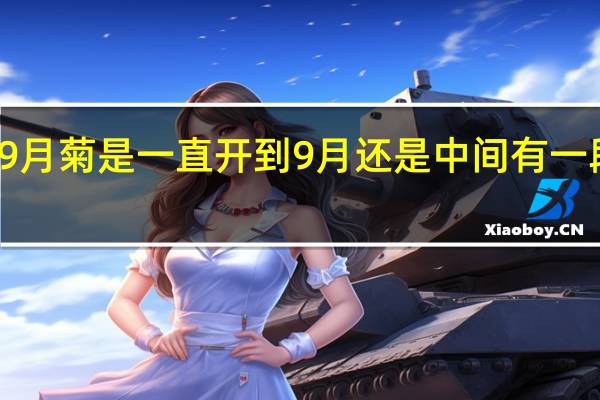 9月菊是一直开到9月还是中间有一段距离