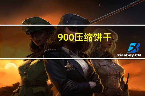 900 压缩饼干(葱油口味)的热量是多少
