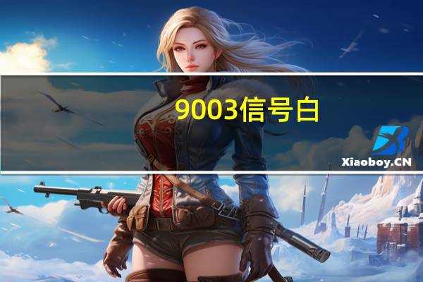 9003信号白(9003三星)