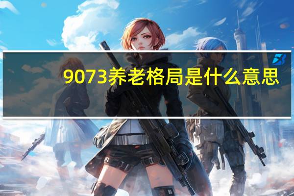 9073养老格局是什么意思