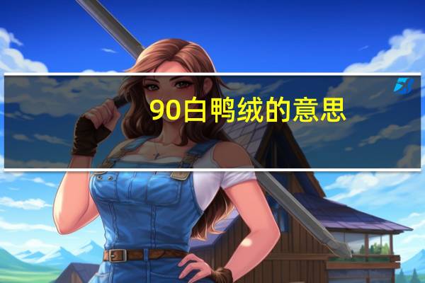 90白鸭绒的意思