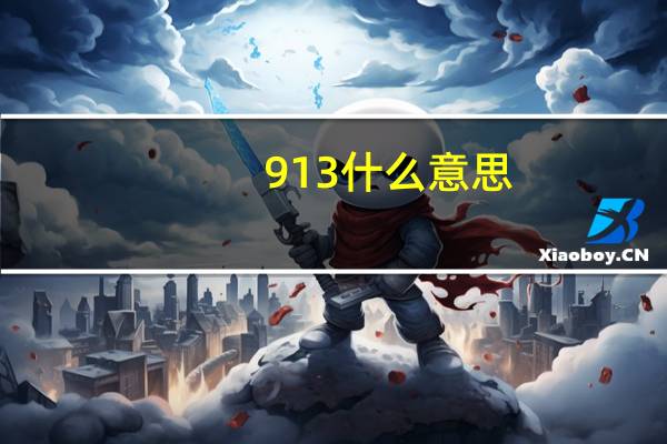 913什么意思