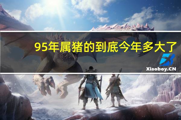 95年属猪的到底今年多大了