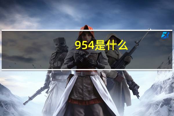 954是什么