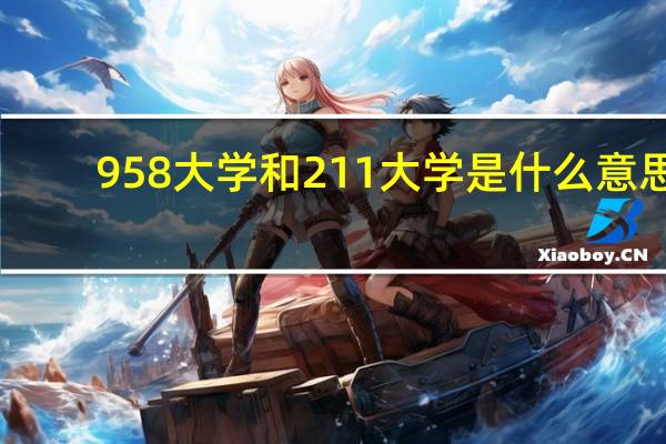 958大学和211大学是什么意思