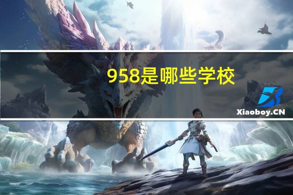958是哪些学校