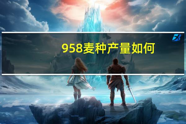 958麦种产量如何