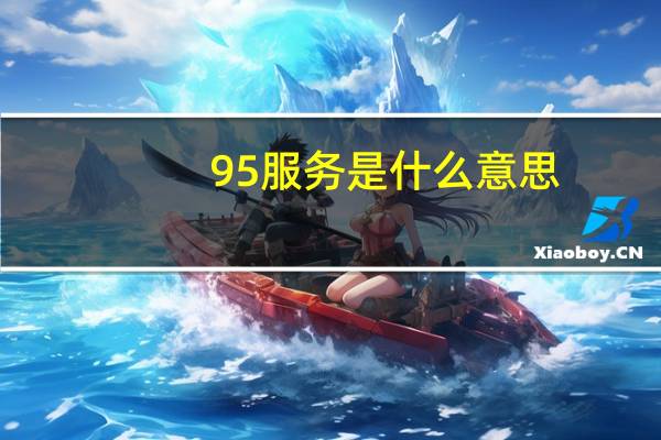 95服务是什么意思