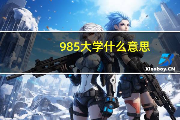 985大学什么意思 985大学的释义