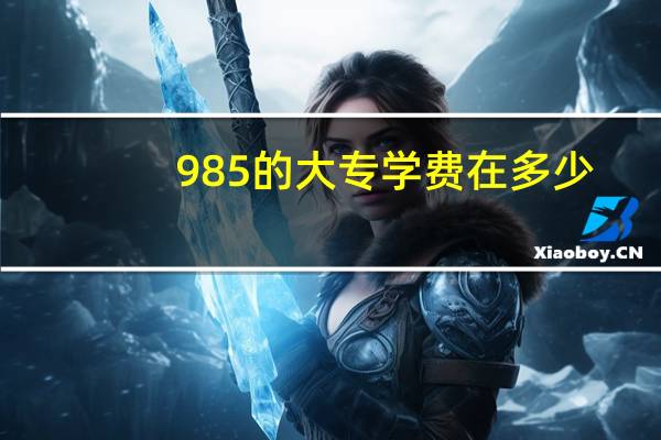 985的大专学费在多少