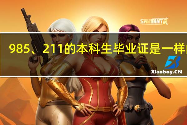 985、211的本科生毕业证是一样的吗