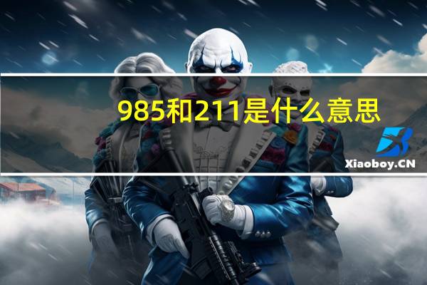 985和211是什么意思（211 156 194 132）