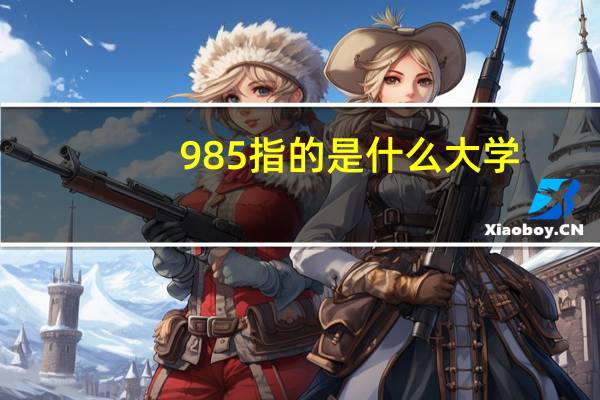 985指的是什么大学