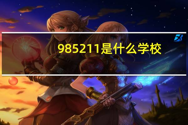 985211是什么学校