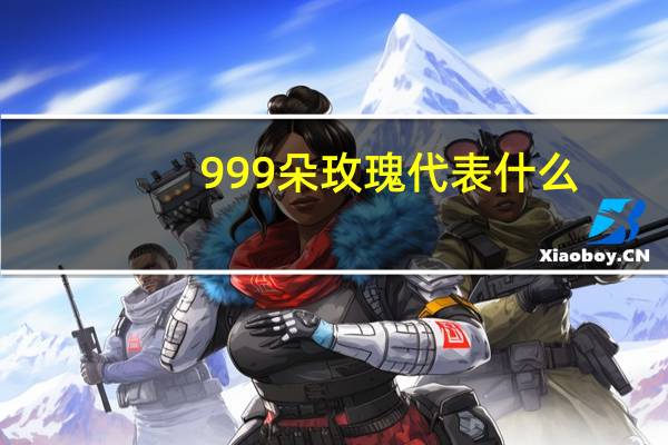 999朵玫瑰代表什么