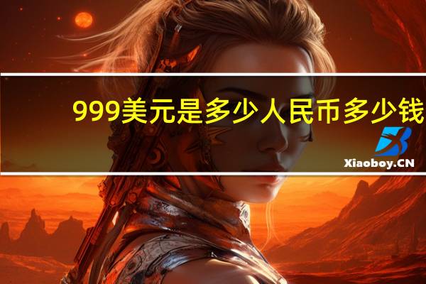 999美元是多少人民币多少钱(999美元是多少人民币)