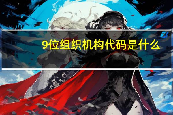 9位组织机构代码是什么