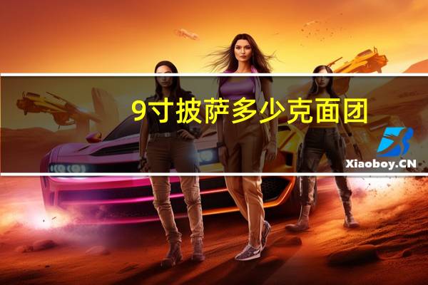 9寸披萨多少克面团