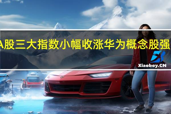 A股三大指数小幅收涨 华为概念股强势领涨