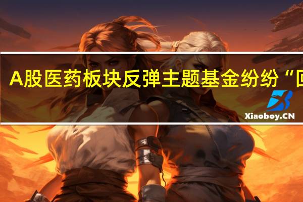 A股医药板块反弹 主题基金纷纷“回血”
