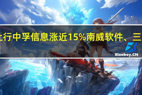 A股数据确权盘初上行中孚信息涨近15%南威软件、三未信安、零点有数等跟涨