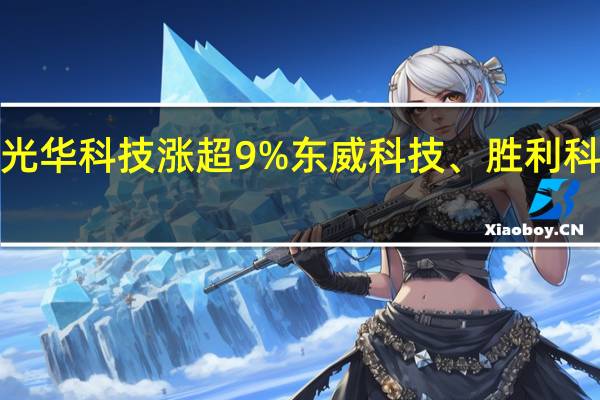 A股PET铜箔板块直线拉升光华科技涨超9%东威科技、胜利科技、宝明科技、双星新材等跟涨