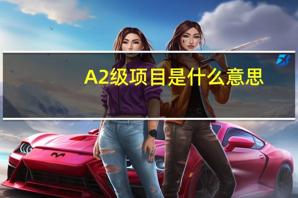 A2级项目是什么意思