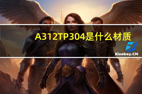 A312TP304是什么材质