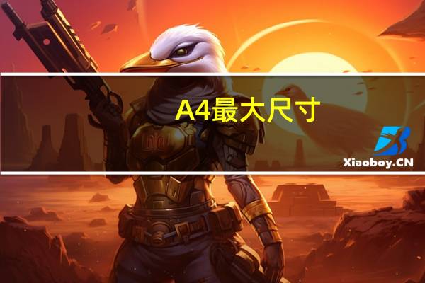 A4最大尺寸