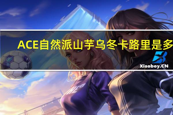 ACE 自然派 山芋乌冬卡路里是多少