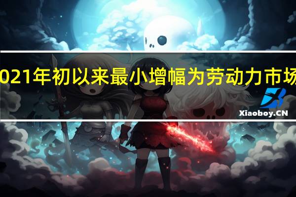 ADP数据录得自2021年初以来最小增幅 为劳动力市场进一步放缓提供了证据