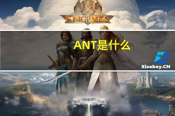 ANT是什么