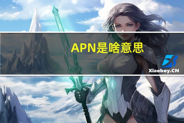 APN是啥意思