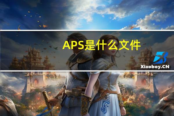 APS是什么文件