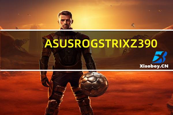 ASUSROGSTRIXZ390-IGAMING电竞小钢砲巧思散热足5G添风彩[XF]