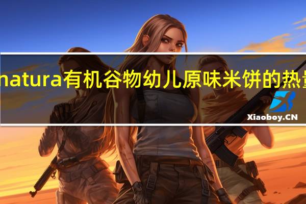 Alnatura 有机谷物幼儿原味米饼的热量是多少