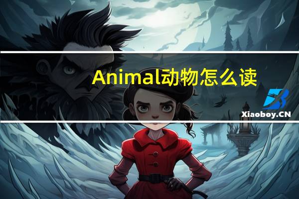 Animal动物怎么读