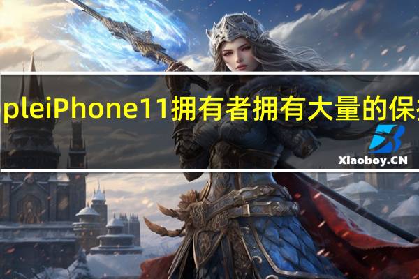 Apple iPhone 11拥有者拥有大量的保护套选项