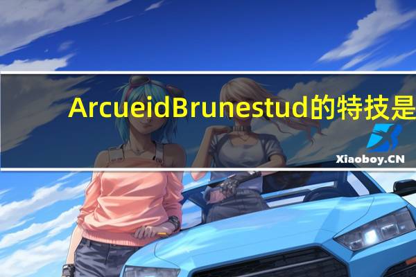 Arcueid Brunestud的特技是
