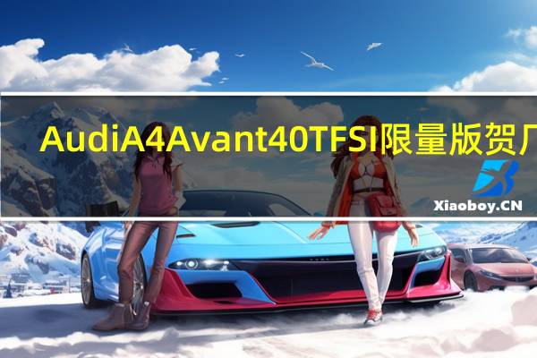 Audi A4 Avant 40 TFSI 限量版贺厂庆