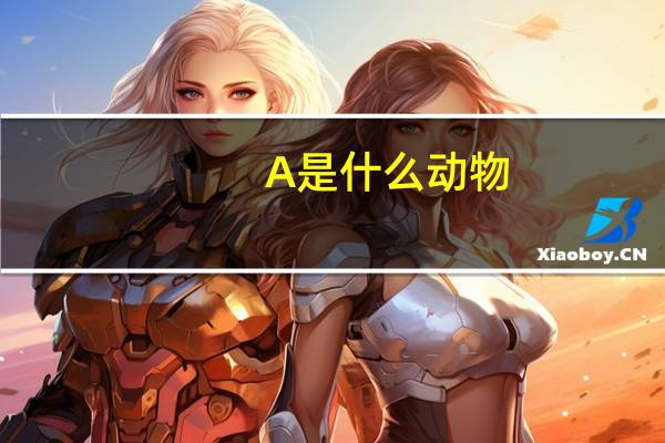 A是什么动物