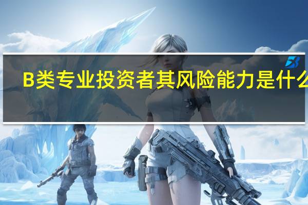 B类专业投资者其风险能力是什么型