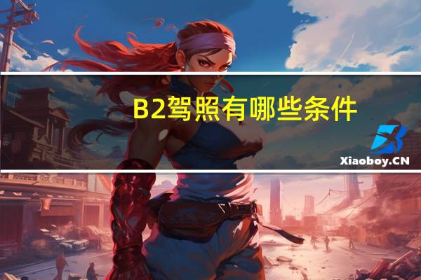 B2驾照有哪些条件