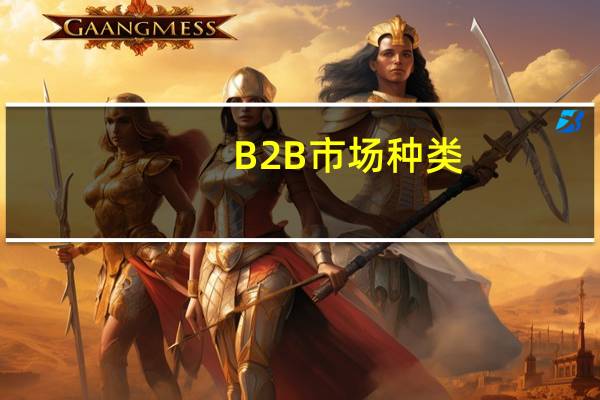 B2B市场种类