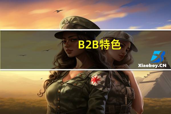 B2B特色