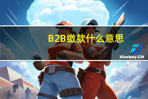 B2B缴款什么意思