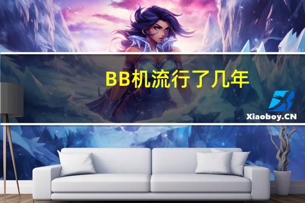 BB机流行了几年